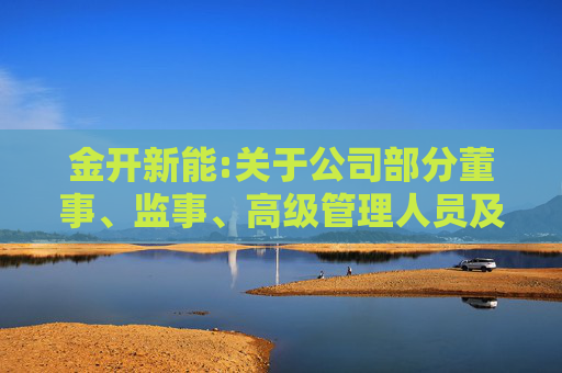 金开新能:关于公司部分董事、监事、高级管理人员及其他核心骨干员工自愿增持公司股份计划暨落实“提质增效重回报”行动方案的进展公告