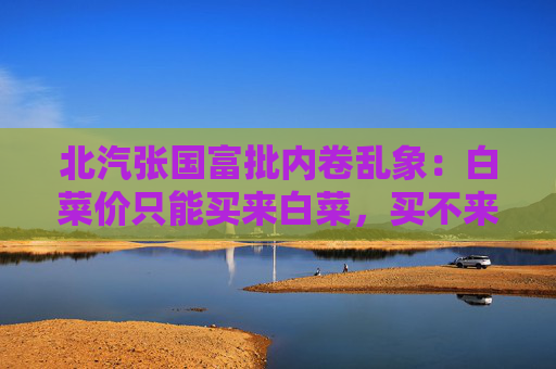北汽张国富批内卷乱象：白菜价只能买来白菜，买不来金丝楠木
