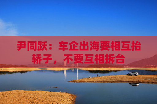 尹同跃：车企出海要相互抬轿子，不要互相拆台