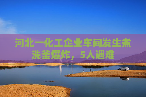 河北一化工企业车间发生煮洗釜爆炸，5人遇难  第1张