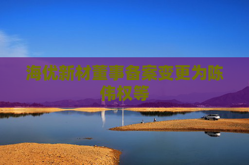 海优新材董事备案变更为陈伟权等