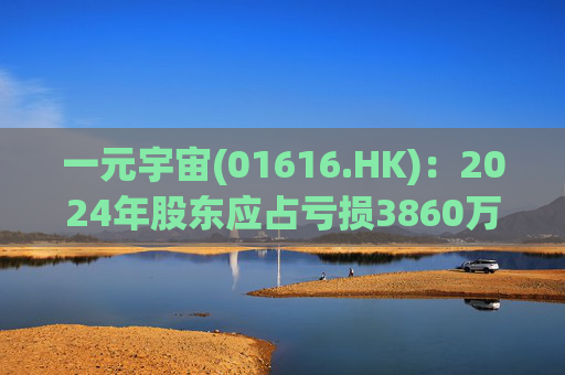 一元宇宙(01616.HK)：2024年股东应占亏损3860万元