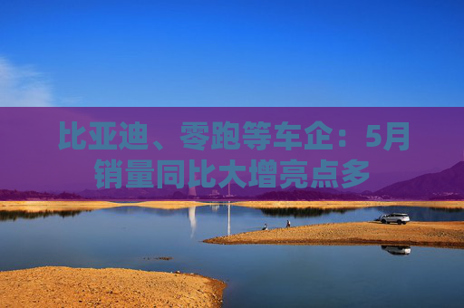 比亚迪、零跑等车企：5月销量同比大增亮点多