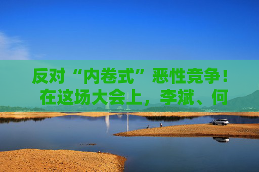 反对“内卷式”恶性竞争！  在这场大会上，李斌、何小鹏、閤先庆等表态“价格战” 第1张