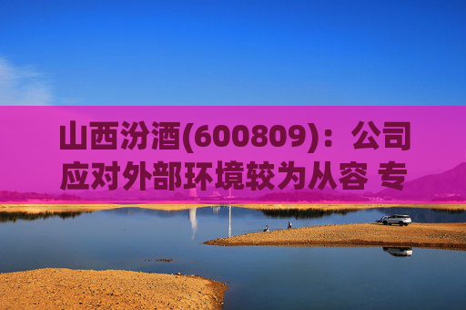 山西汾酒(600809)：公司应对外部环境较为从容 专注于组织、团队、信息化等自身能力提升