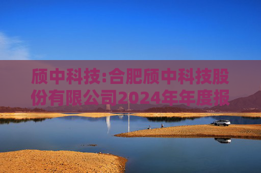 颀中科技:合肥颀中科技股份有限公司2024年年度报告