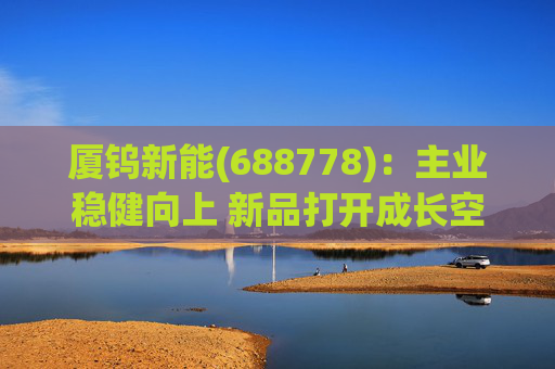 厦钨新能(688778)：主业稳健向上 新品打开成长空间