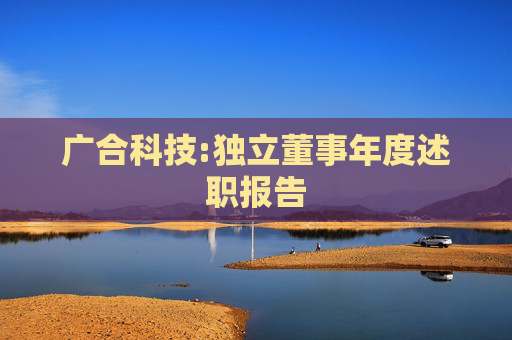 广合科技:独立董事年度述职报告  第1张