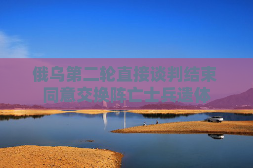 俄乌第二轮直接谈判结束 同意交换阵亡士兵遗体