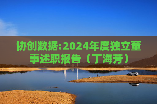 协创数据:2024年度独立董事述职报告（丁海芳）  第1张