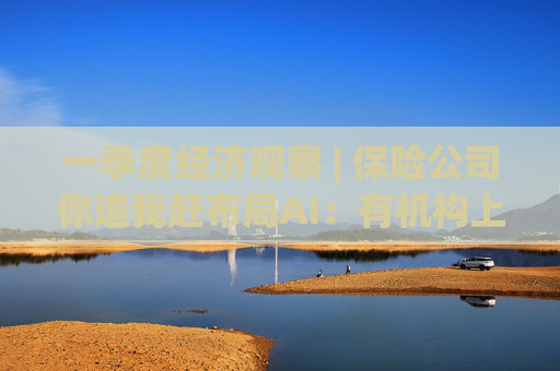 一季度经济观察 | 保险公司你追我赶布局AI：有机构上线3天生成30万行代码，效率提升8%  第1张