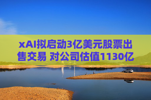xAI拟启动3亿美元股票出售交易 对公司估值1130亿美元  第1张