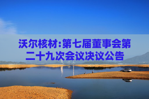 沃尔核材:第七届董事会第二十九次会议决议公告