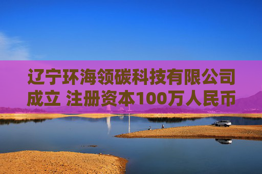 辽宁环海领碳科技有限公司成立 注册资本100万人民币