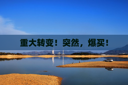 重大转变！突然，爆买！