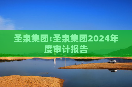 圣泉集团:圣泉集团2024年度审计报告