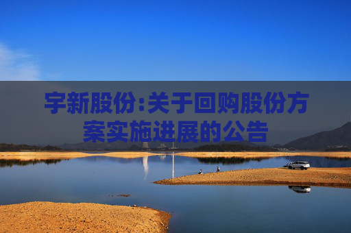 宇新股份:关于回购股份方案实施进展的公告