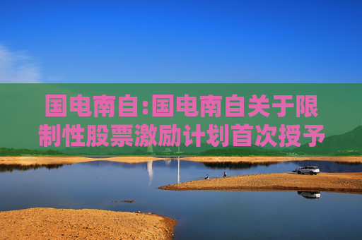 国电南自:国电南自关于限制性股票激励计划首次授予第二个解除限售期解锁暨上市公告