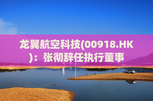 龙翼航空科技(00918.HK)：张彻辞任执行董事