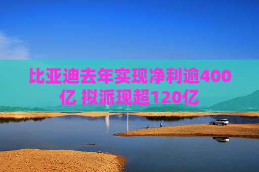 比亚迪去年实现净利逾400亿 拟派现超120亿