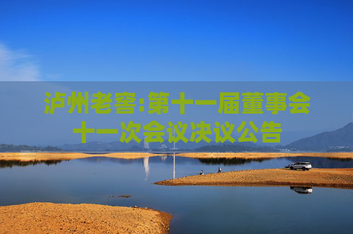 泸州老窖:第十一届董事会十一次会议决议公告