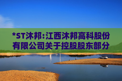 *ST沐邦:江西沐邦高科股份有限公司关于控股股东部分股份被冻结的公告