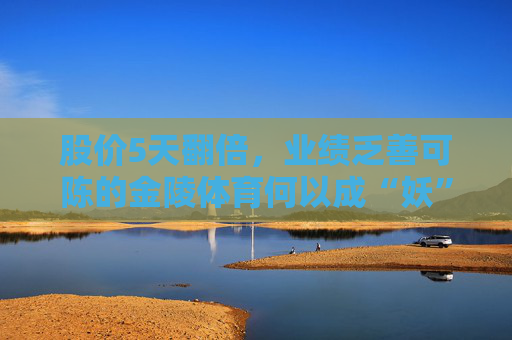 股价5天翻倍，业绩乏善可陈的金陵体育何以成“妖”？
