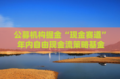 公募机构掘金“现金赛道” 年内自由现金流策略基金募资近150亿元