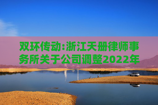 双环传动:浙江天册律师事务所关于公司调整2022年股票期权激励计划行权价格的法律意见书