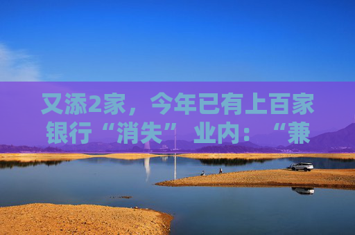 又添2家，今年已有上百家银行“消失” 业内：“兼并重组、减量提质”是中小银行改革重要思路