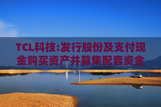 TCL科技:发行股份及支付现金购买资产并募集配套资金报告书（草案）（注册稿）