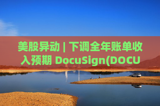 美股异动 | 下调全年账单收入预期 DocuSign(DOCU.US)大跌超18%
