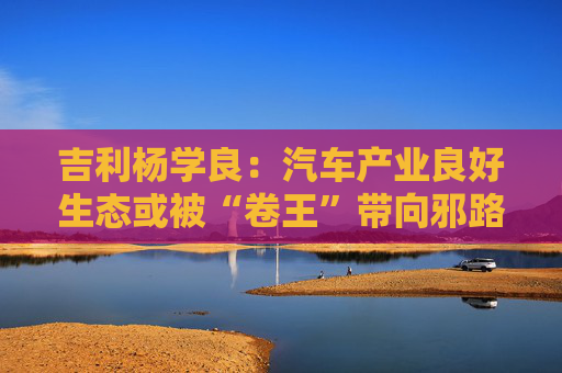 吉利杨学良：汽车产业良好生态或被“卷王”带向邪路