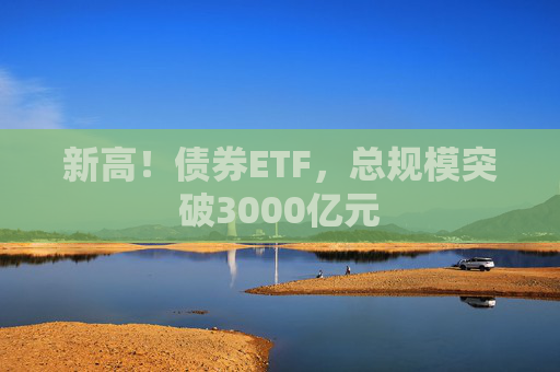 新高！债券ETF，总规模突破3000亿元
