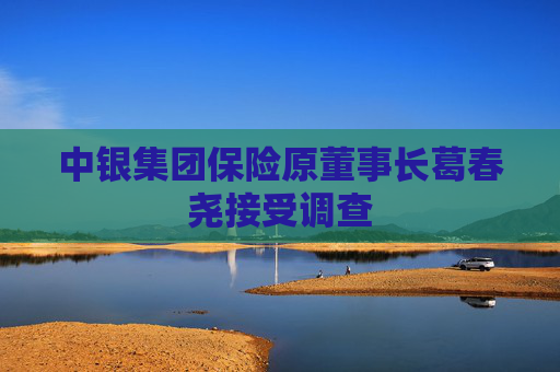 中银集团保险原董事长葛春尧接受调查  第1张