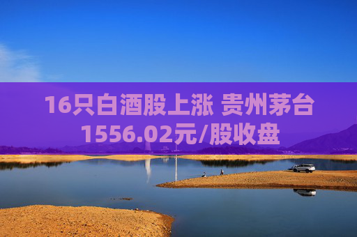16只白酒股上涨 贵州茅台1556.02元/股收盘