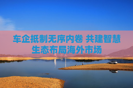 车企抵制无序内卷 共建智慧生态布局海外市场