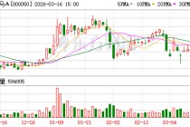 深天马A：公司将坚持“2+1+N”战略引领