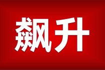 如何进行股票期权程序化交易？交易有哪些要点？