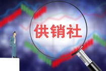 如何认识证券与期货的关系？这种关系对投资决策有何影响？