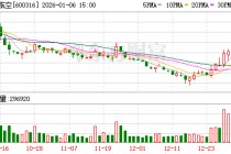 洪都航空：截至2025年12月31日公司股东人数为65596户