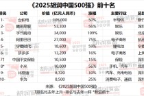 2025胡润中国500强发布：价值下降前三名为美团、Shein、迈瑞