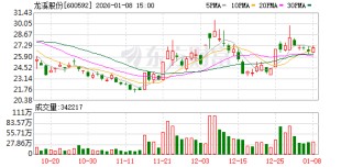 龙溪股份：聘任证券事务代表