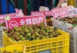 永辉超市启动2025永辉荔枝季助农活动：最快24小时从果园直达门店，从广东门店到全国门店将陆续上架
