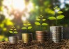 如何分析金融市场的行情趋势？这种分析如何指导投资决策？