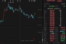 688012，超2000亿市值芯片概念龙头，火了