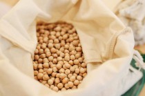 菜粕的旺季是什么时候？菜粕旺季的市场表现有哪些特点？