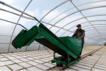 金融活水润沃野 不误农时备春耕 ――哈尔滨银行全力护航2026年春耕生产