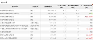 主权财富基金，A股持仓出炉