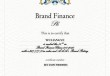 五粮液入围Brand Finance《2025年中国品牌价值500强》：品牌价值突破277亿美元 品牌强度稳居全球最高等级